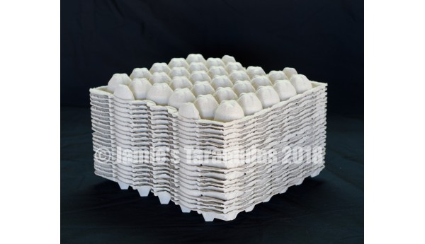 Egg crate 20 flats FREE SHIPPING